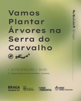 Vamos Plantar &Aacute;rvores na Serra do Carvalho