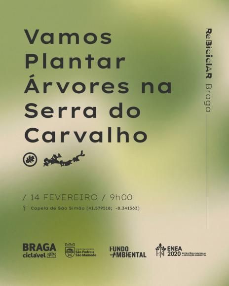 Vamos Plantar &Aacute;rvores na Serra do Carvalho